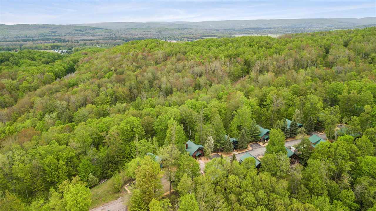 1259 Powder Ridge Drive Boyne City MI 49712