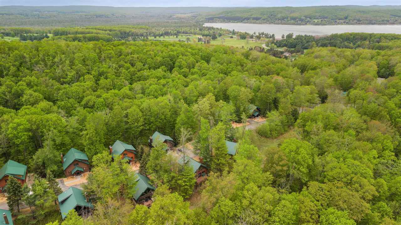 1259 Powder Ridge Drive Boyne City MI 49712