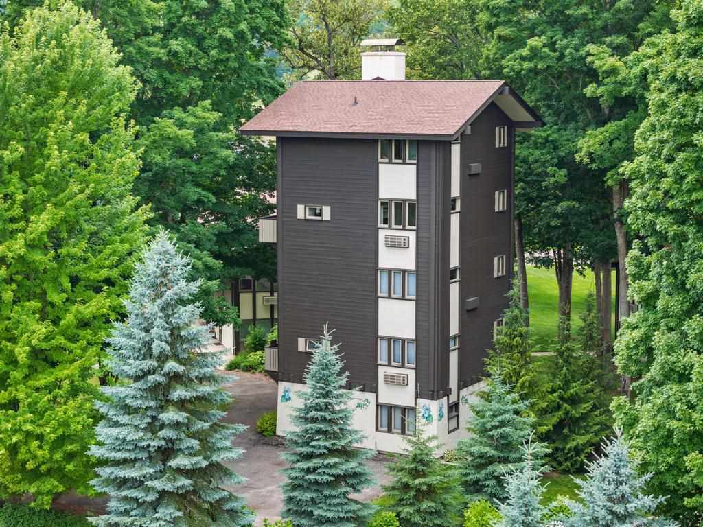 2797 Condo Loop Boyne Falls MI 49713