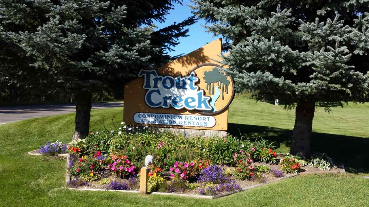 4749 S Pleasantview Road Harbor Springs MI 49740