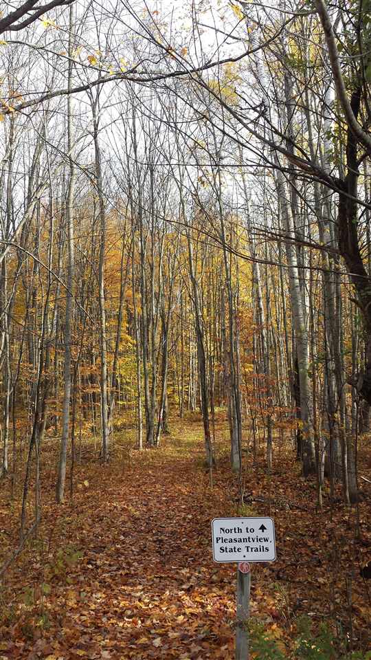 4749 S Pleasantview Road Harbor Springs MI 49740