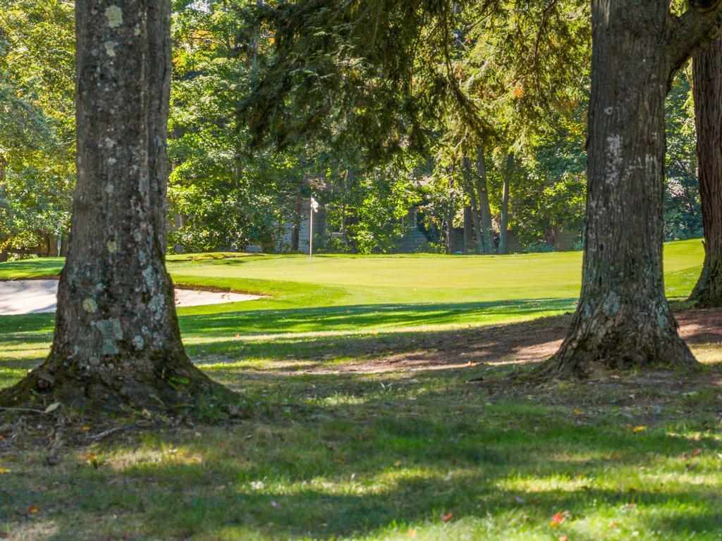 5186 Greystone Court Harbor Springs MI 49740