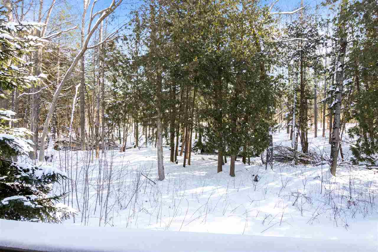 6865 Pinebrook Bellaire MI 49615