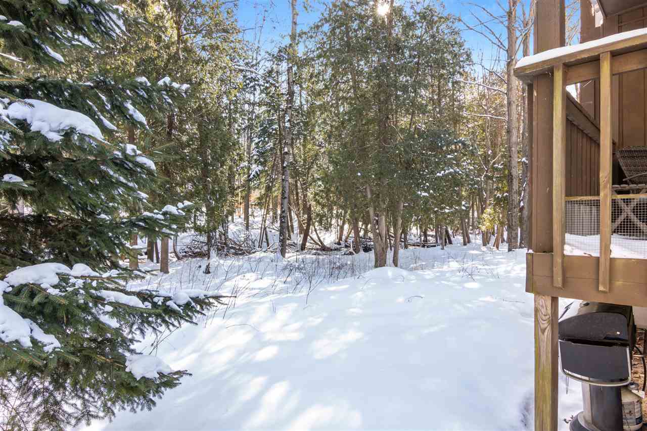 6865 Pinebrook Bellaire MI 49615