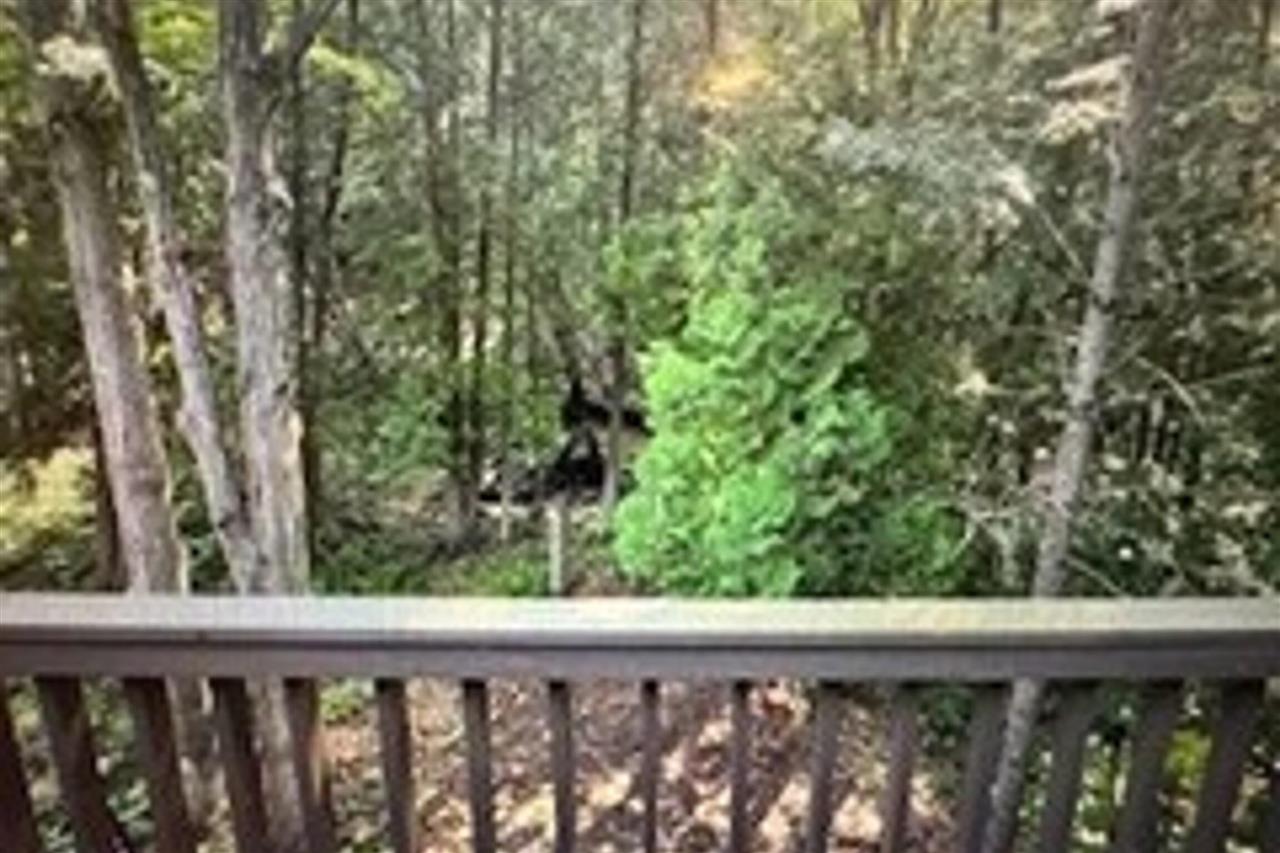 6865 Pinebrook Bellaire MI 49615