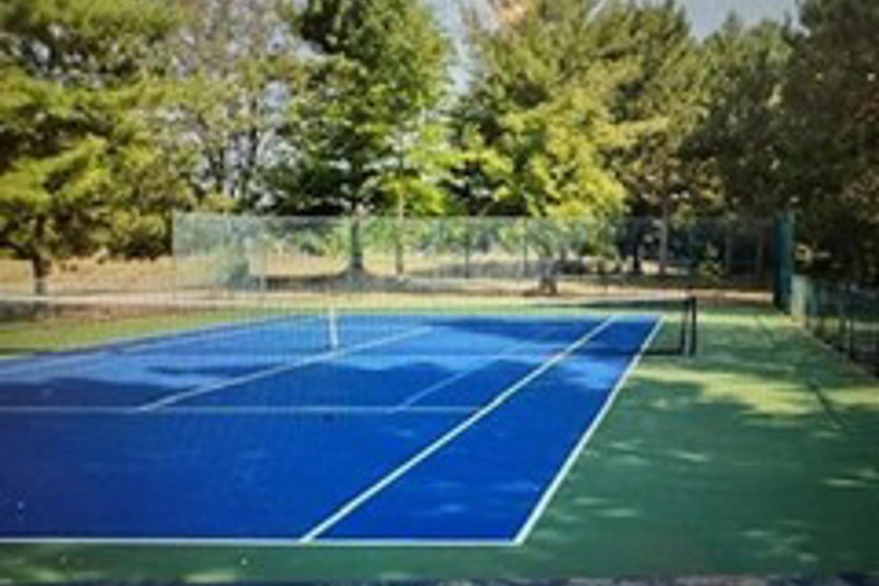 6865 Pinebrook Bellaire MI 49615