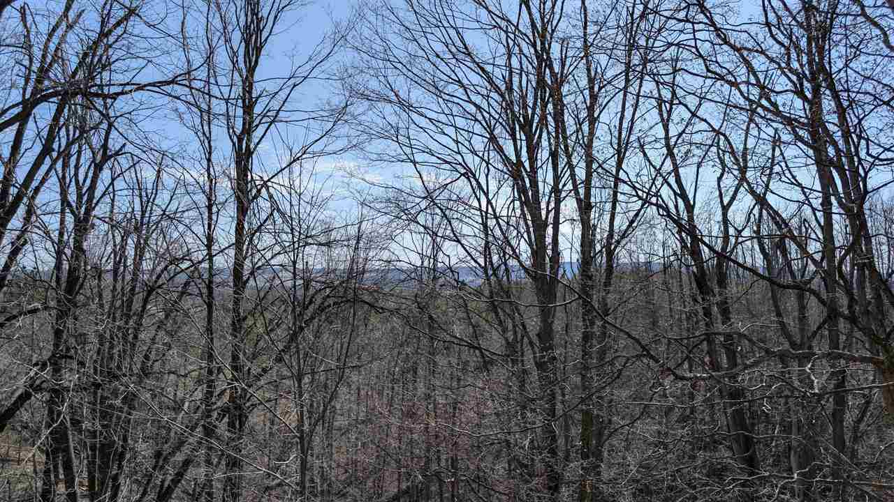 2035 Woods Lane Petoskey MI 49770