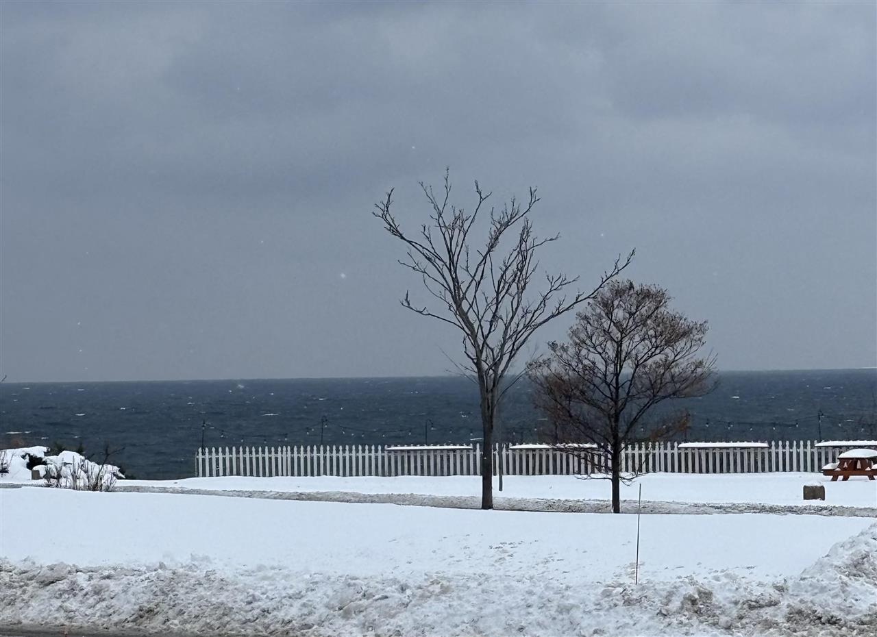 804 Arlington Avenue Petoskey MI 49770