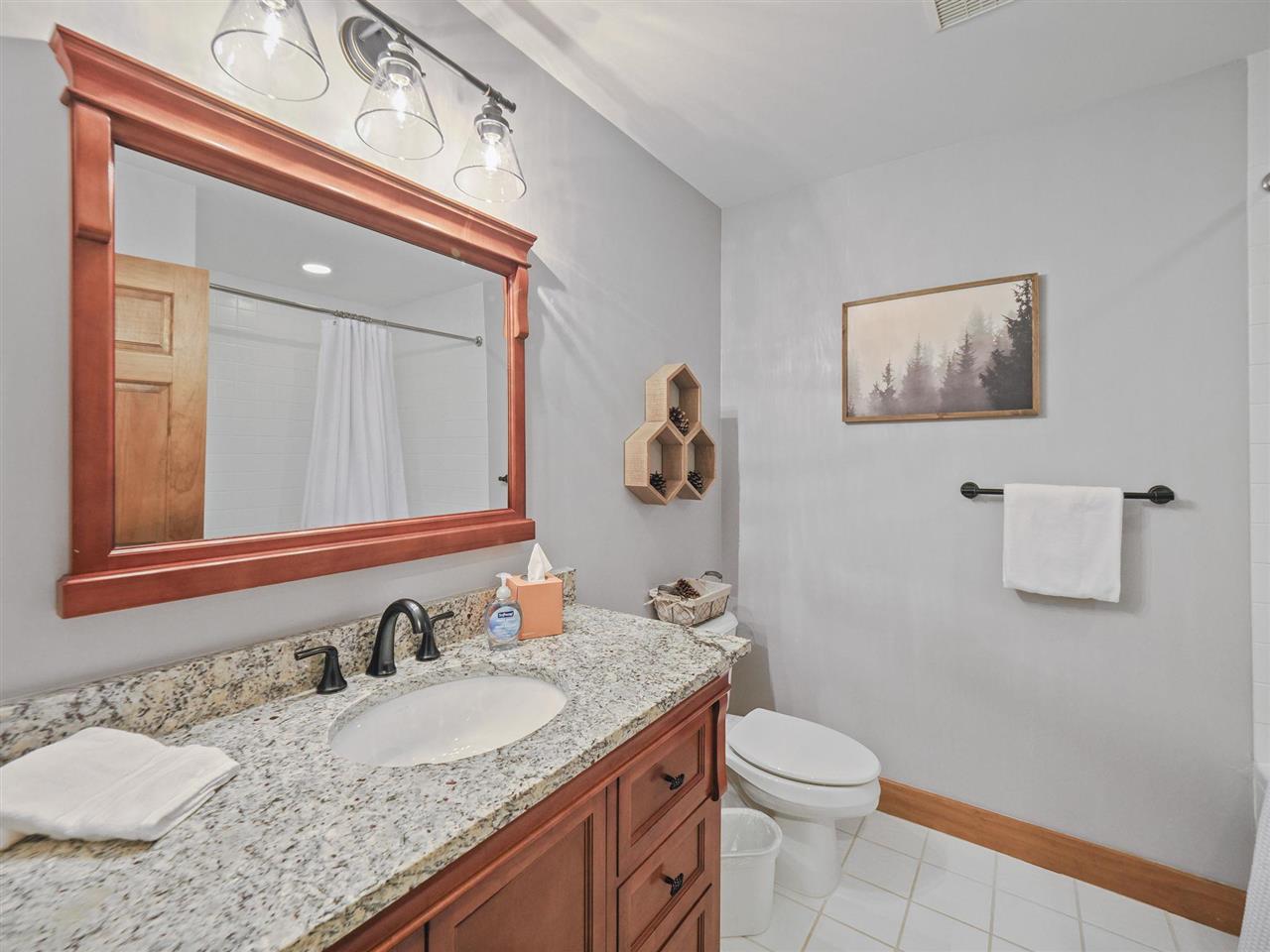 1992 Morning Dove Boyne Falls MI 49713