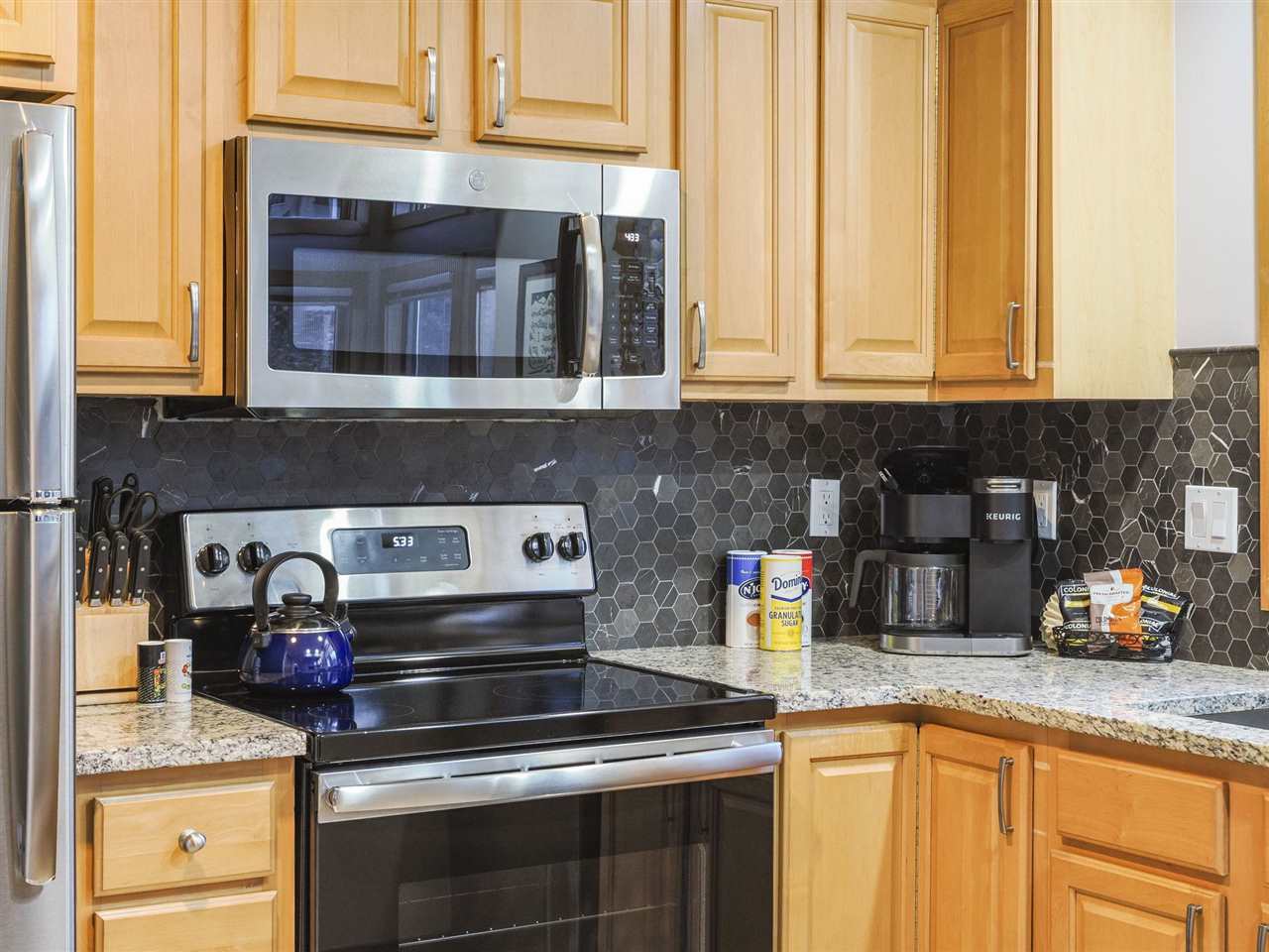 1992 Morning Dove Boyne Falls MI 49713