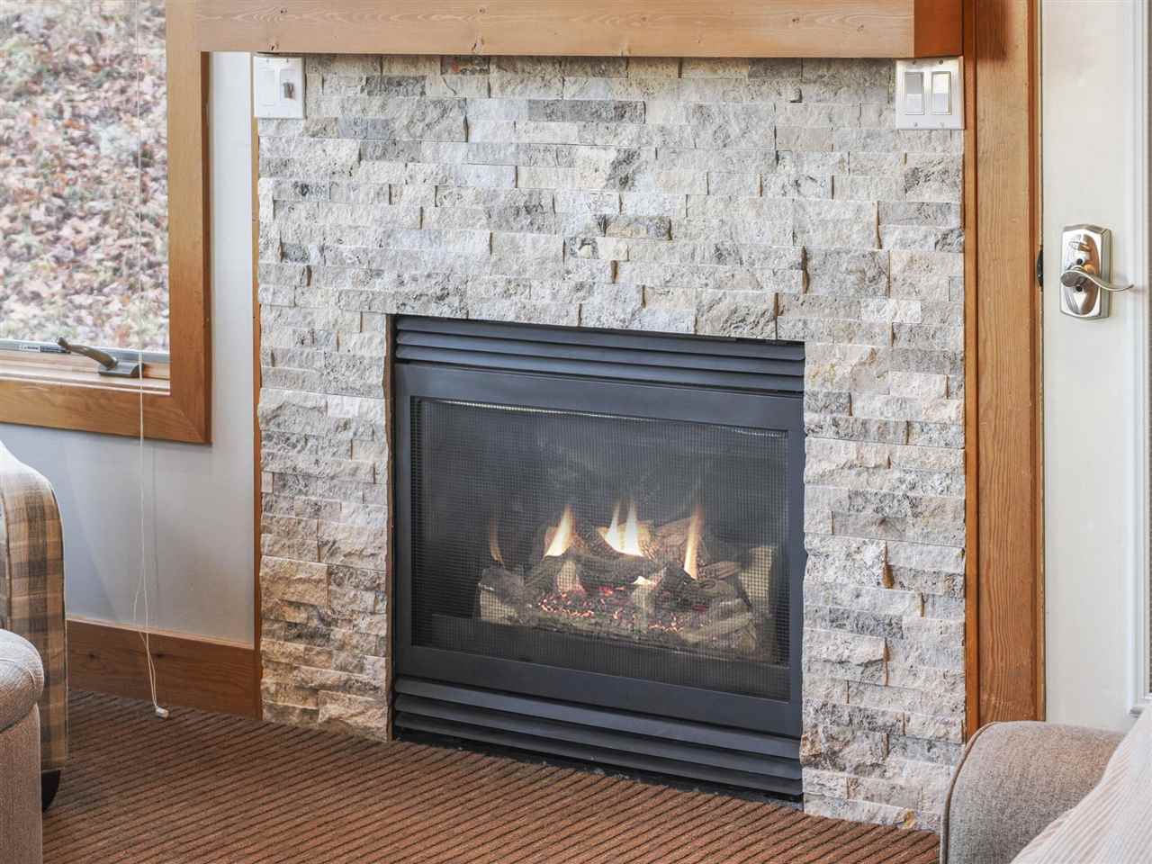 1992 Morning Dove Boyne Falls MI 49713