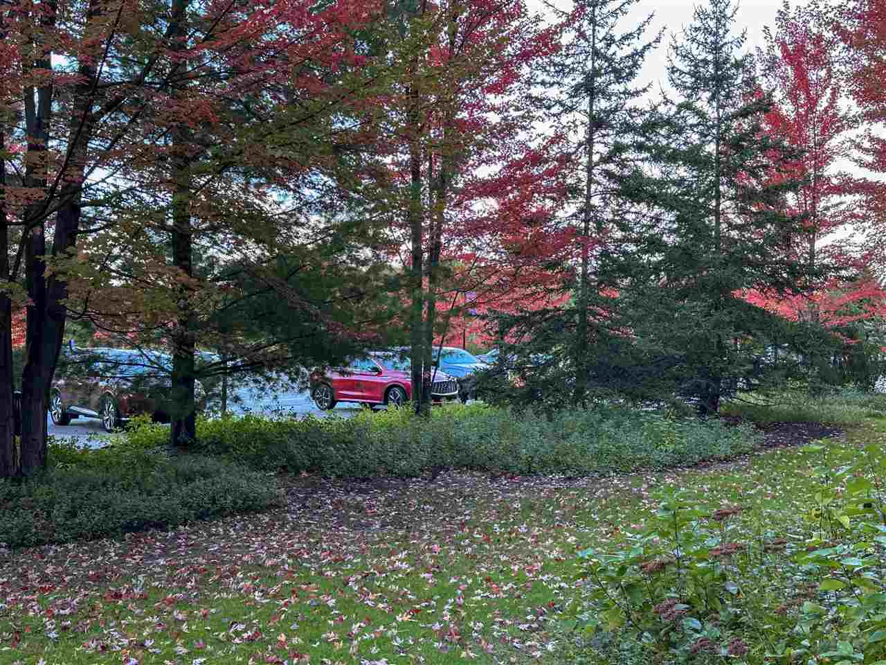 2780 - 94b Boyne Mountain Road Boyne Falls MI 49713