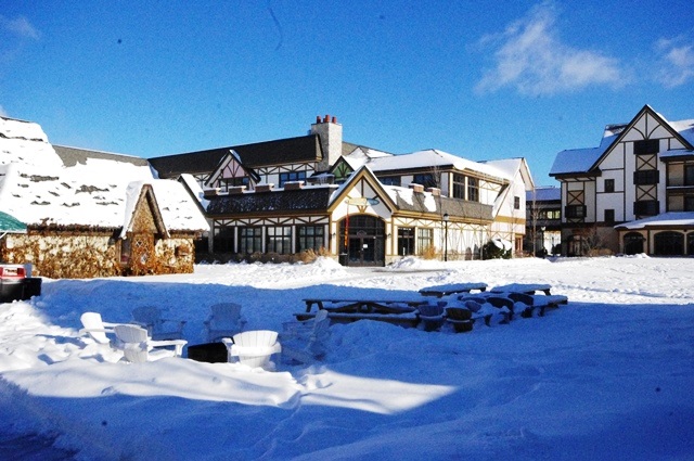 2780 - 94b Boyne Mountain Road Boyne Falls MI 49713