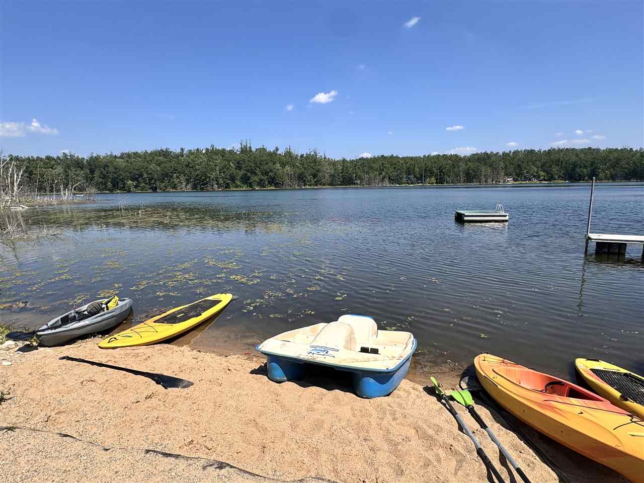 1941 Limberlost Lane Gaylord MI 49735