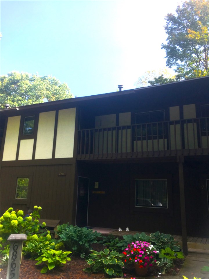 6865 Pinebrook Drive Bellaire MI 49615