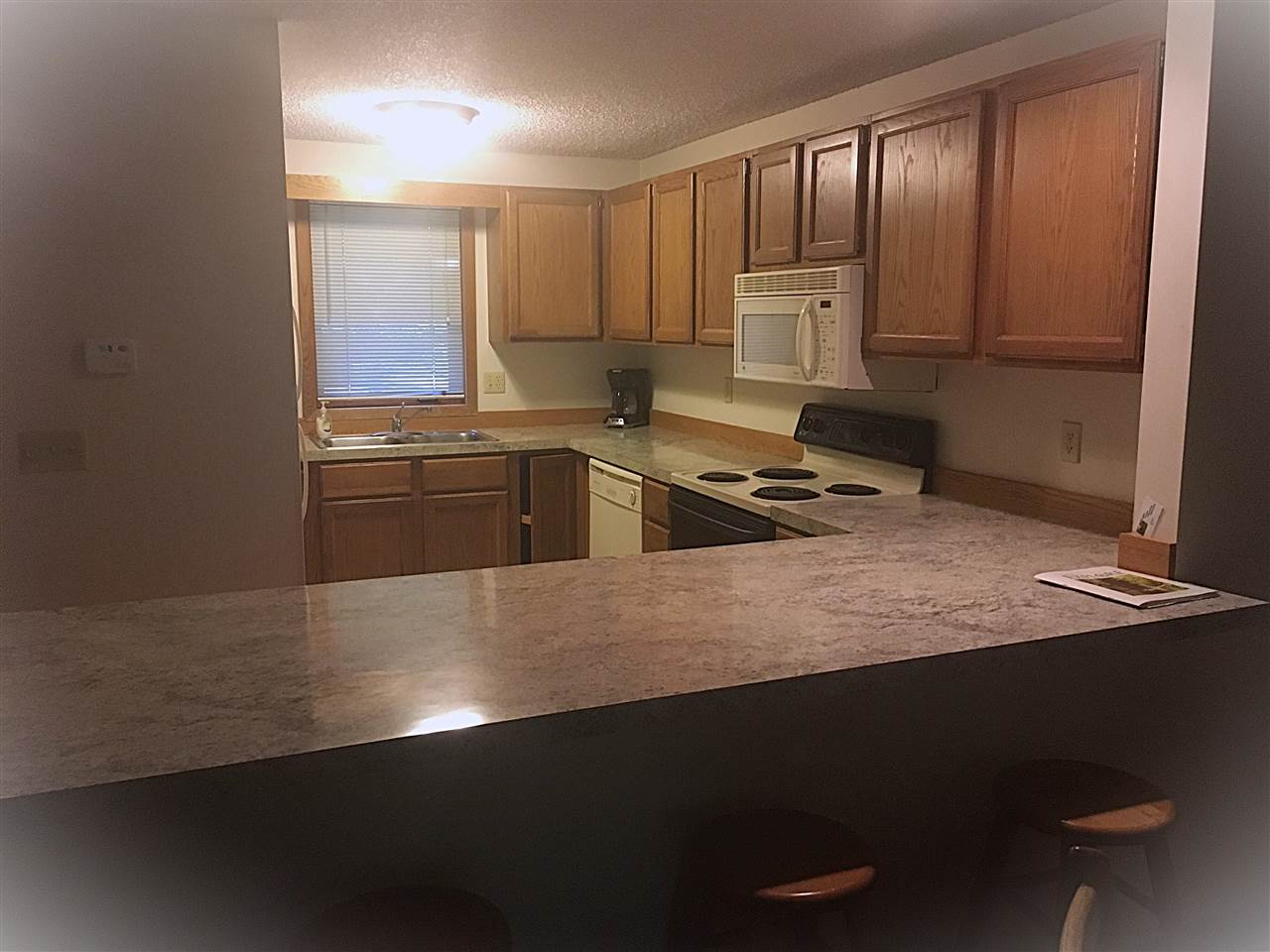 6865 Pinebrook Drive Bellaire MI 49615