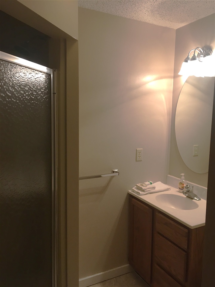 6865 Pinebrook Drive Bellaire MI 49615