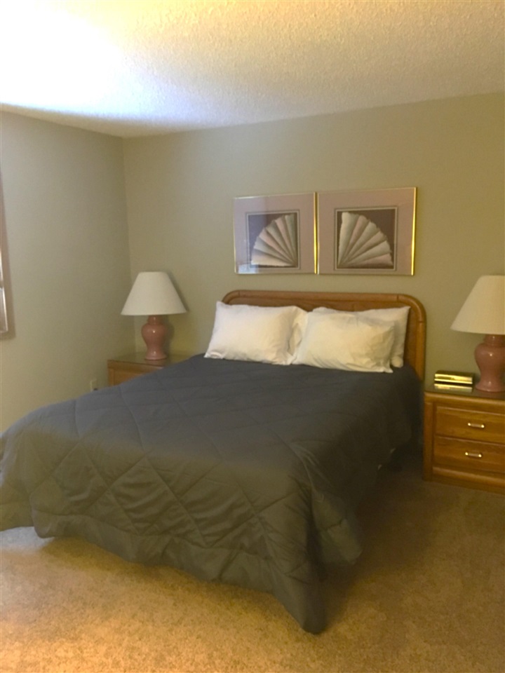 6865 Pinebrook Drive Bellaire MI 49615