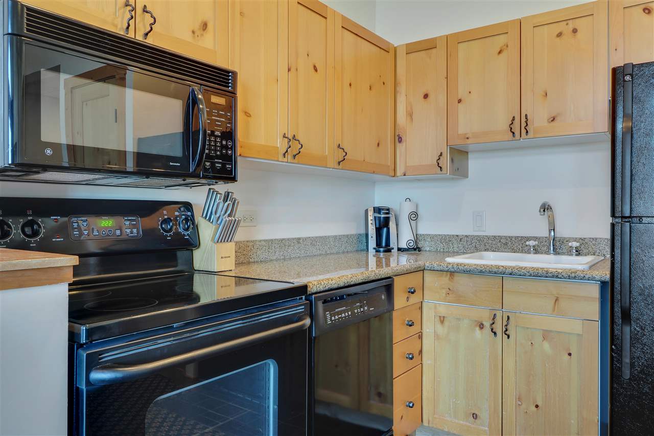 2780 - 166 Boyne Mountain Road Boyne Falls MI 49713