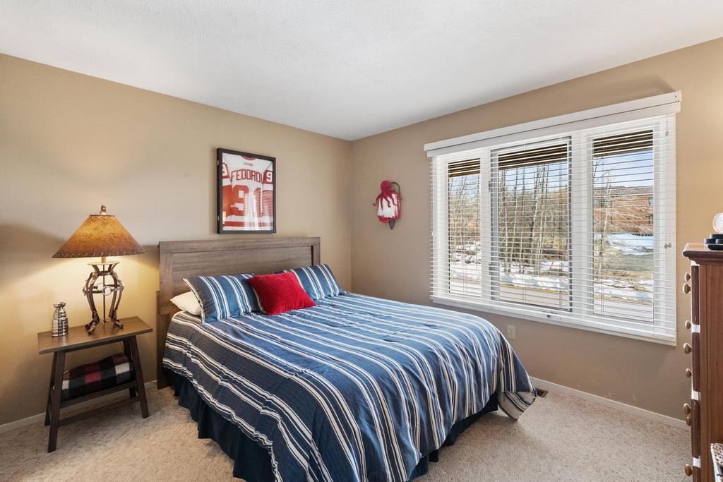 4749 Pleasantview Road Harbor Springs MI 49740