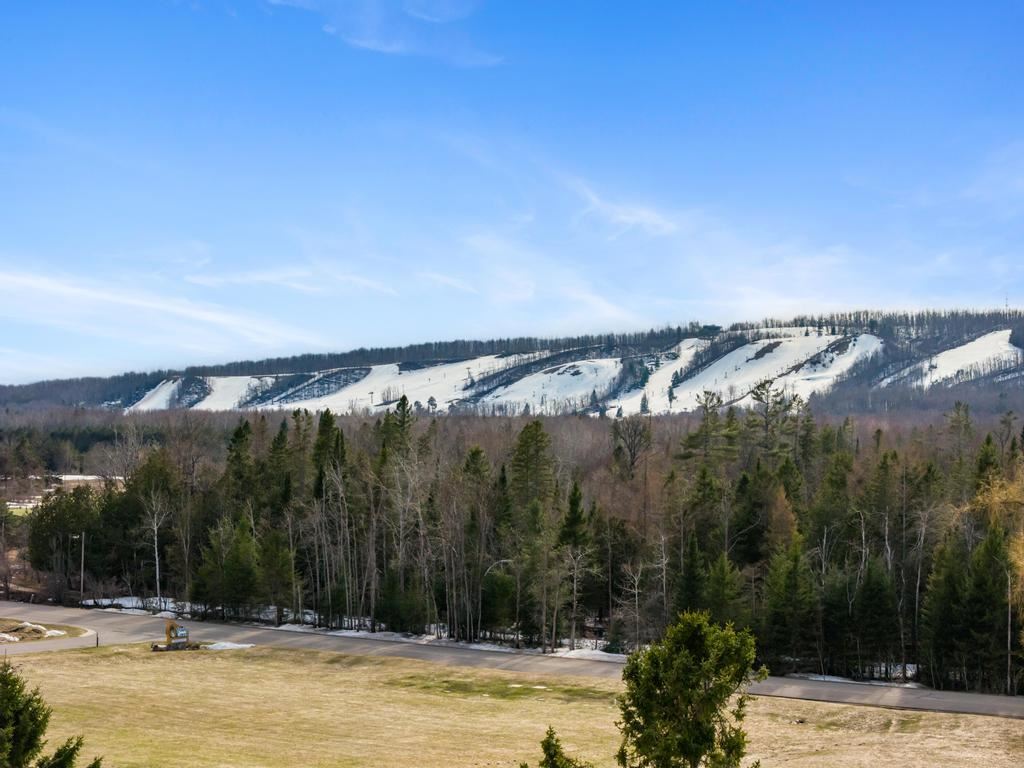 4749 Pleasantview Road Harbor Springs MI 49740