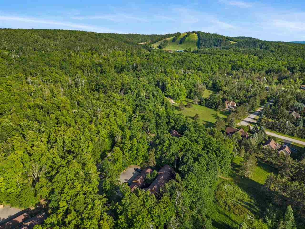 4749 S Pleasantview Road Harbor Springs MI 49740