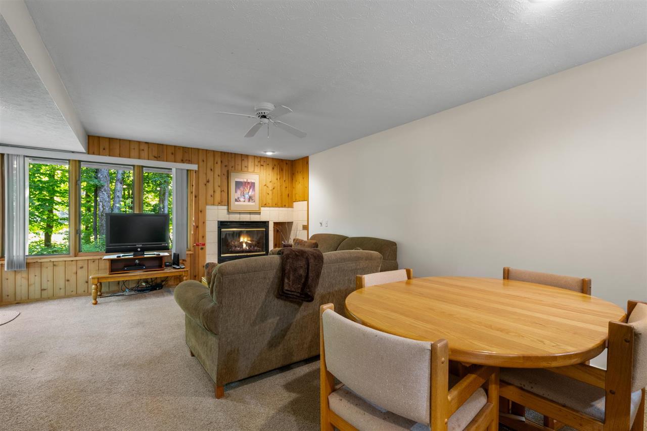 4749 S Pleasantview Road Harbor Springs MI 49740