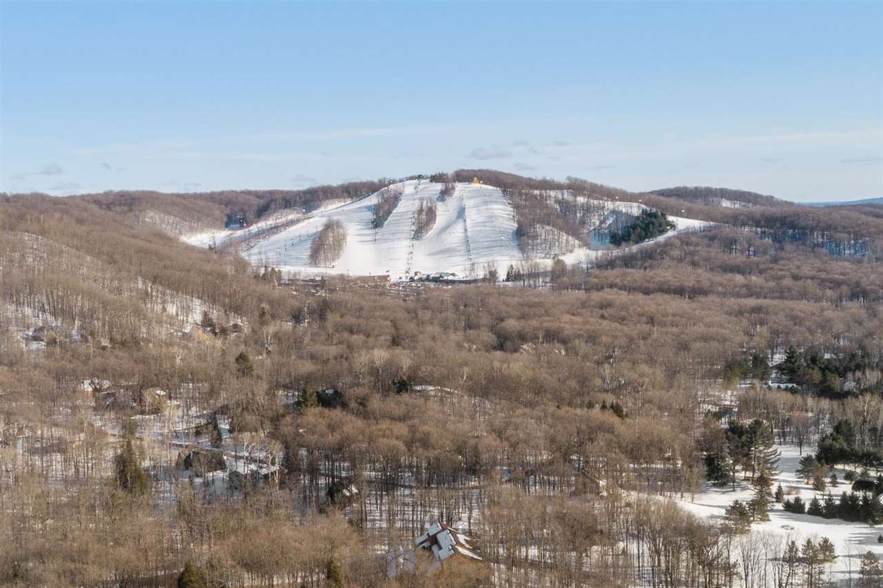 4749 S Pleasantview Road Harbor Springs MI 49740