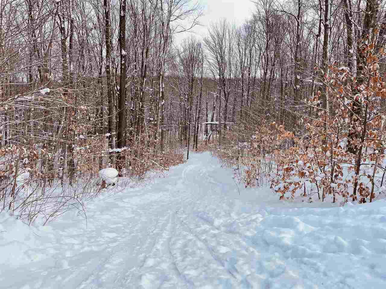 670 Beech Drive Boyne City MI 49712