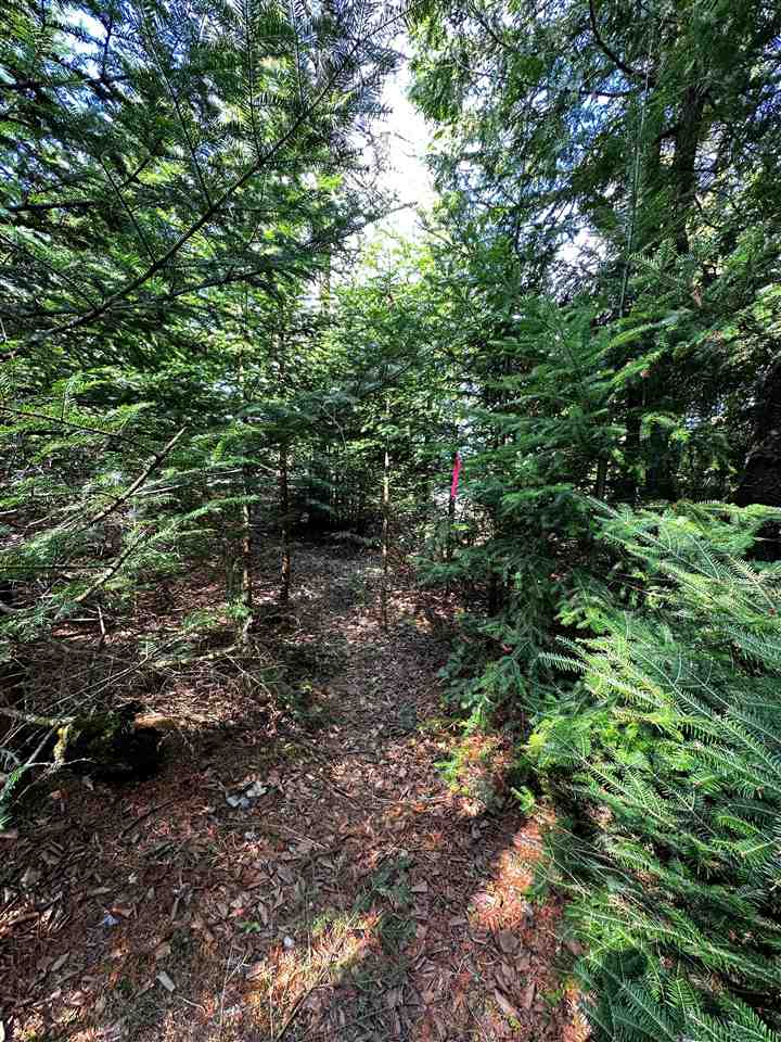 Lot 483 - N Island Woods Road Beaver Island MI 49782