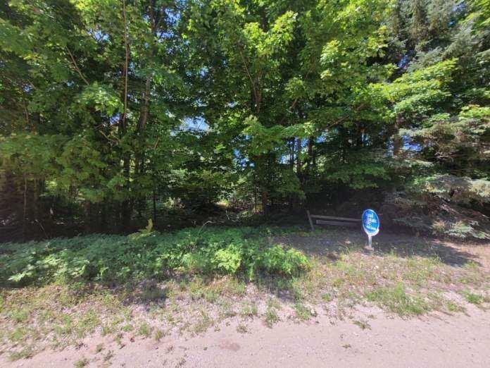 Lot 483 - N Island Woods Road Beaver Island MI 49782