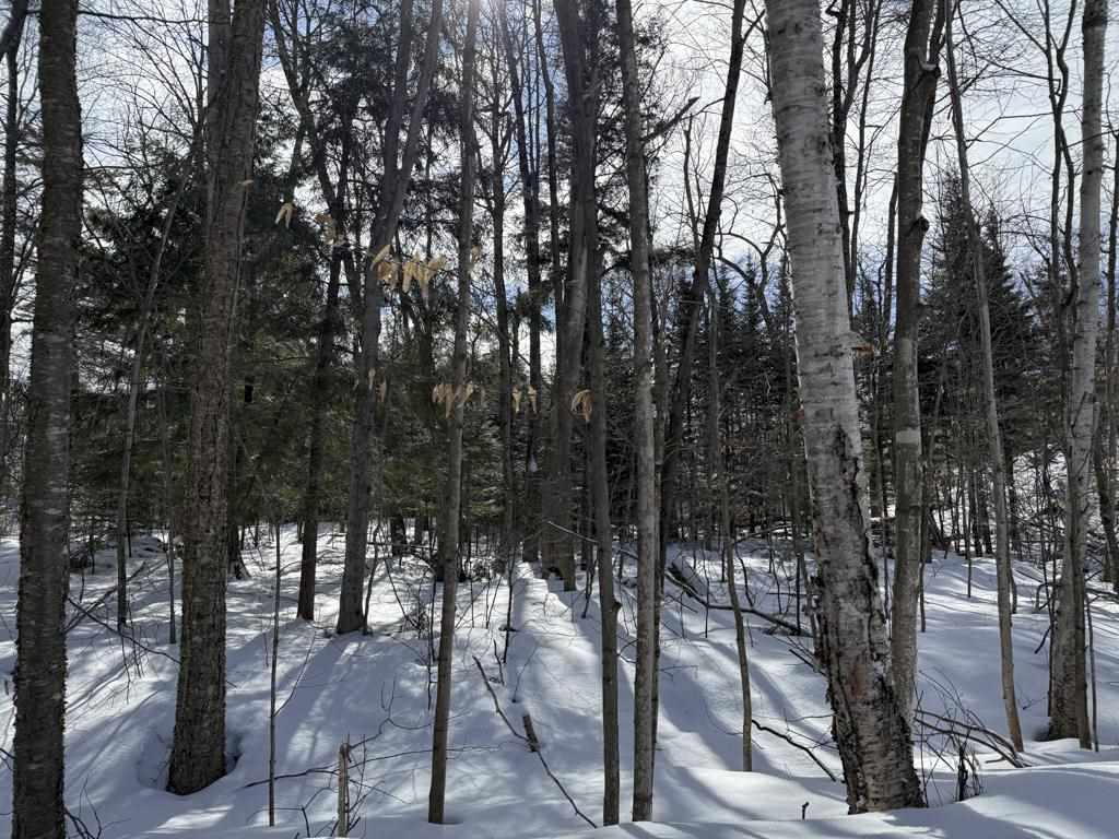 Lot 203 Font View Court Beaver Island MI 49782