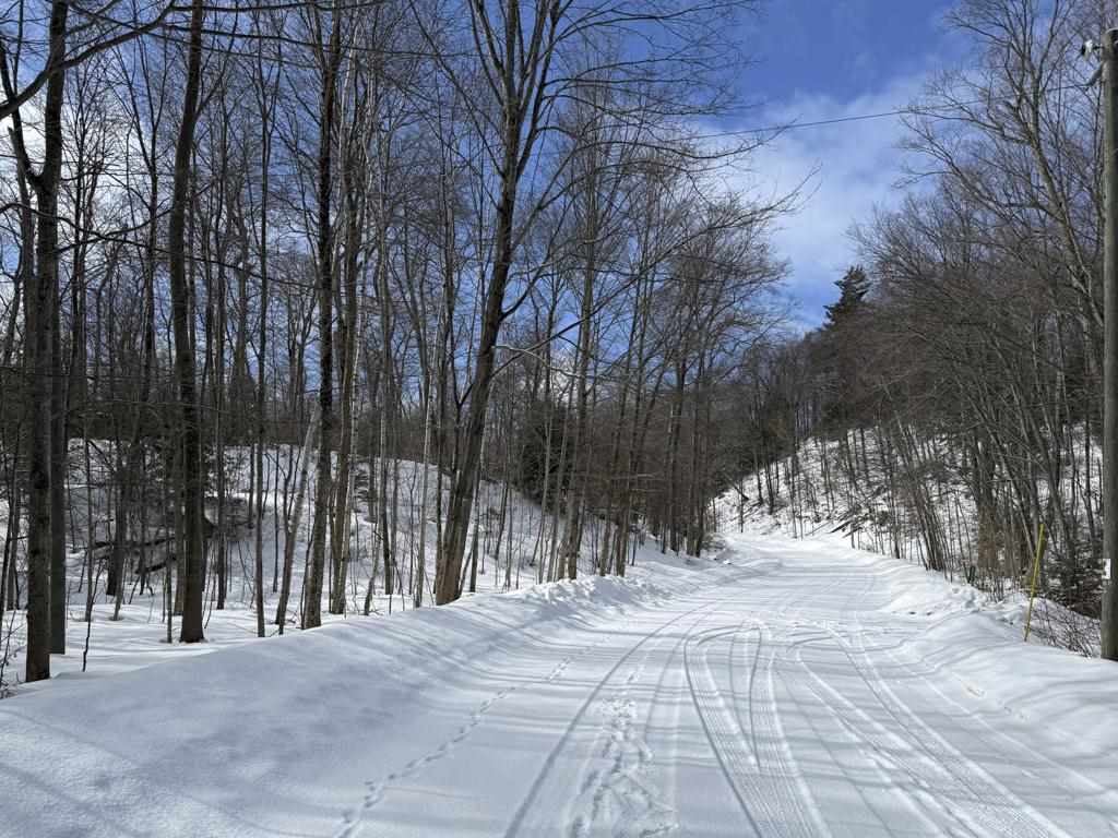 Lot 203 Font View Court Beaver Island MI 49782