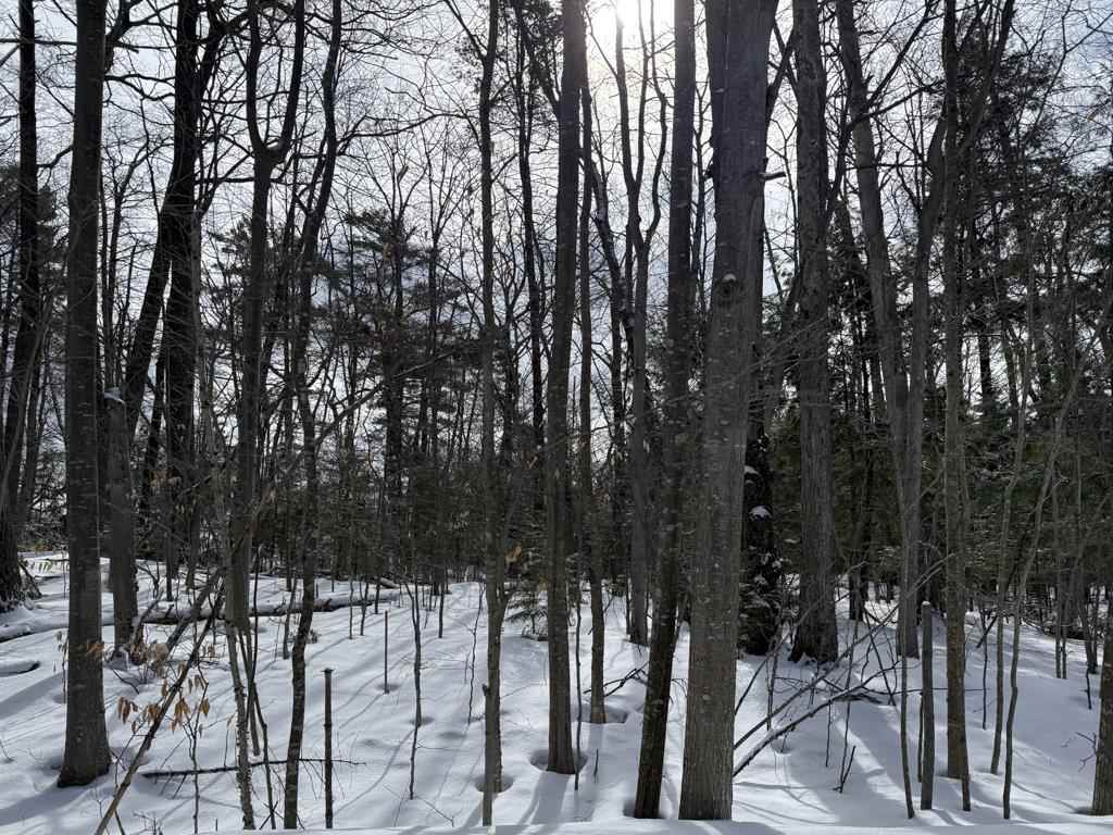 Lot 203 Font View Court Beaver Island MI 49782