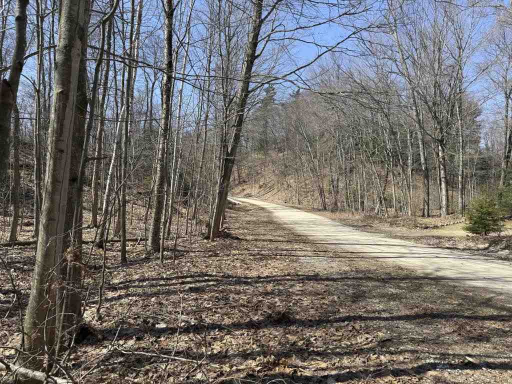 Lot 203 Font View Court Beaver Island MI 49782