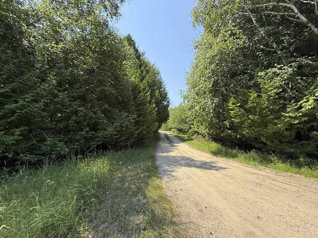 Tbd Jewell Drive Beaver Island MI 49782