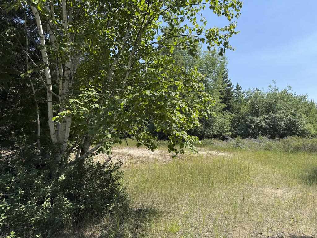 Tbd Jewell Drive Beaver Island MI 49782
