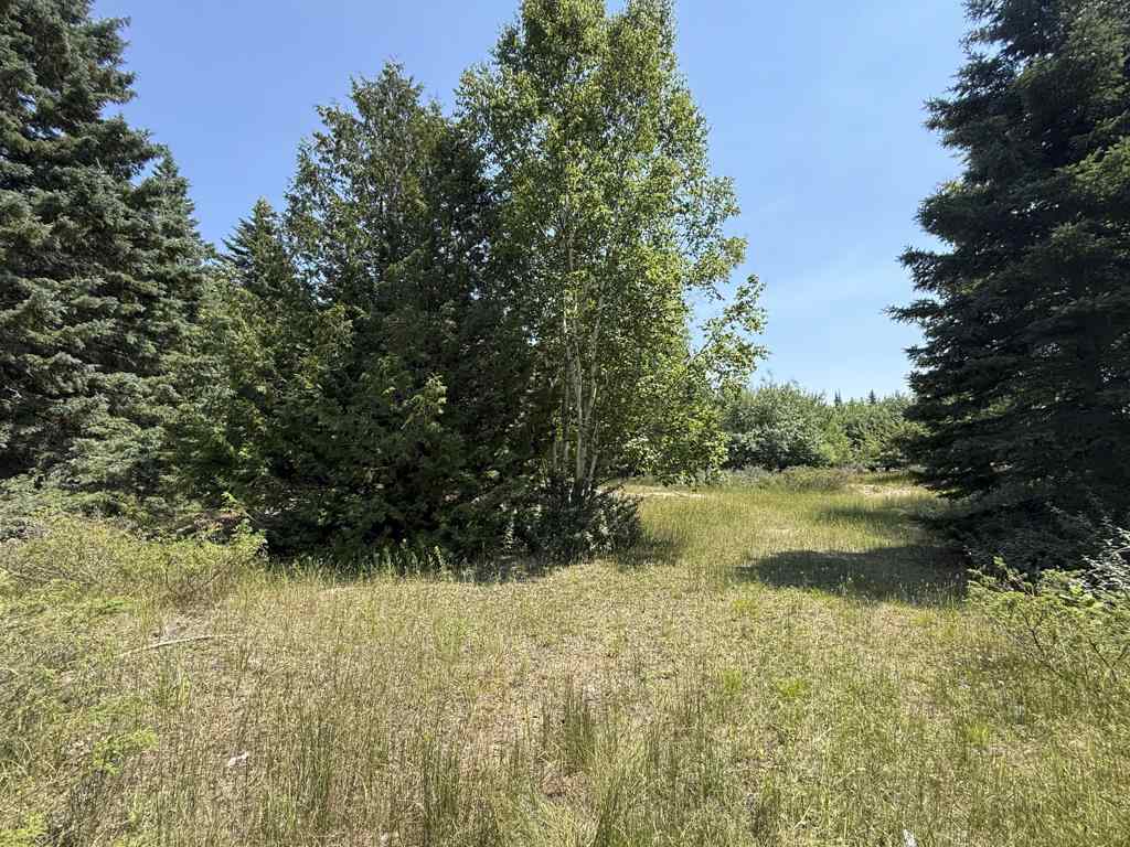 Tbd Jewell Drive Beaver Island MI 49782