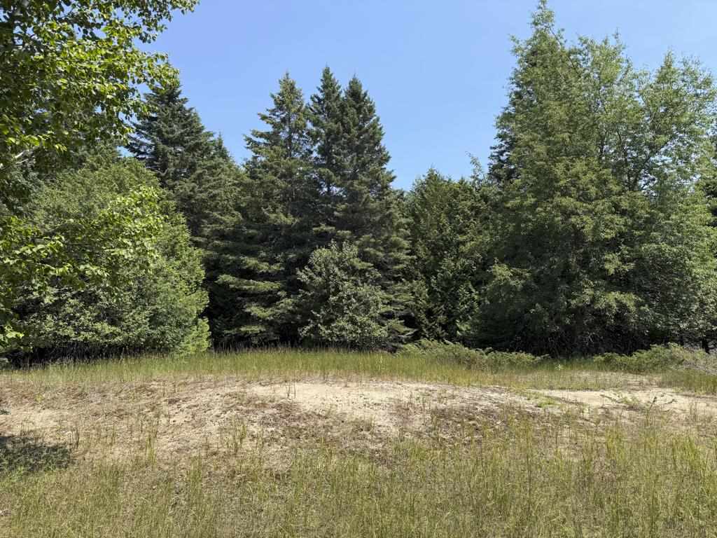 Tbd Jewell Drive Beaver Island MI 49782