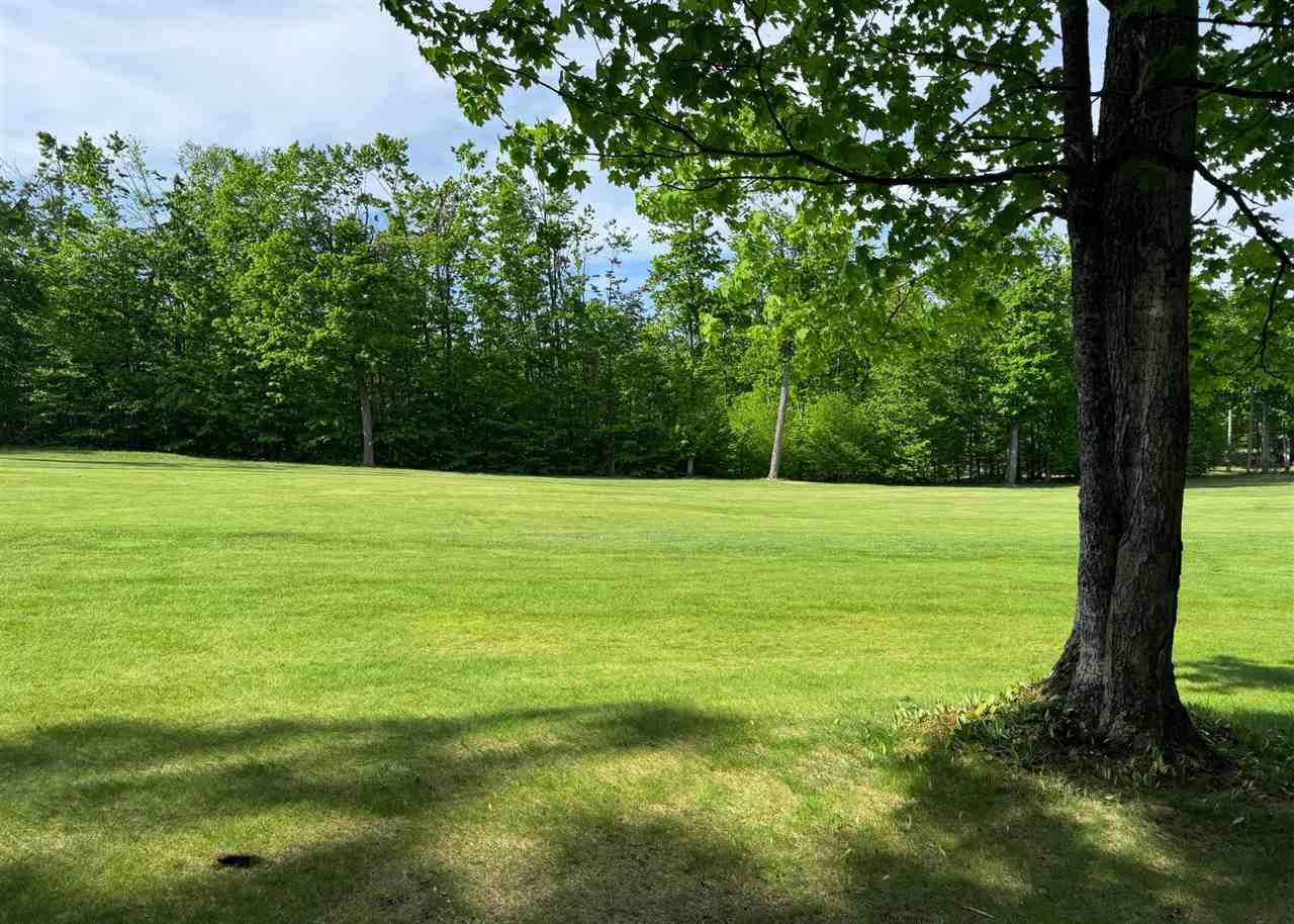 1279 Walkabout Lane Harbor Springs MI 49740