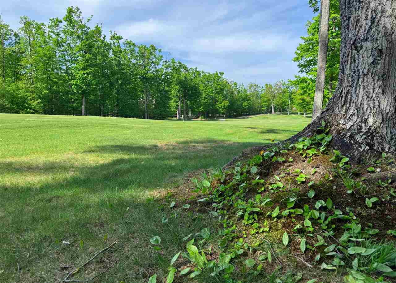 1279 Walkabout Lane Harbor Springs MI 49740