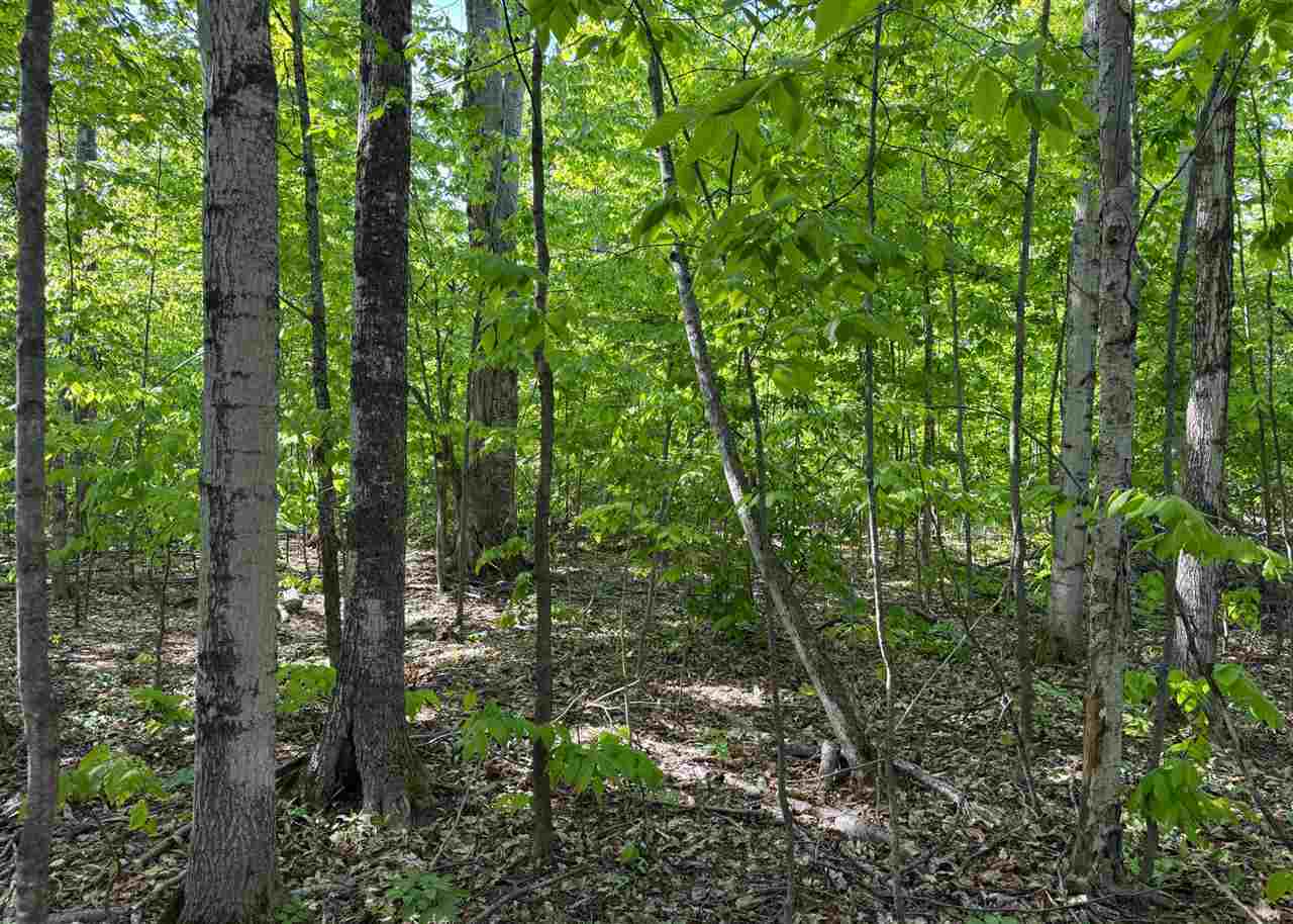 1279 Walkabout Lane Harbor Springs MI 49740
