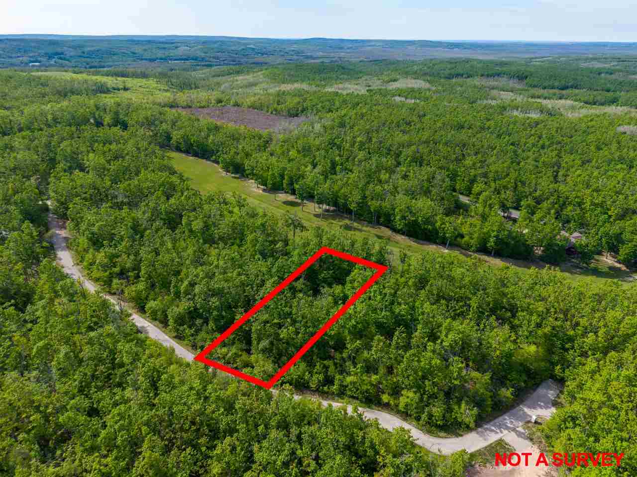 1279 Walkabout Lane Harbor Springs MI 49740