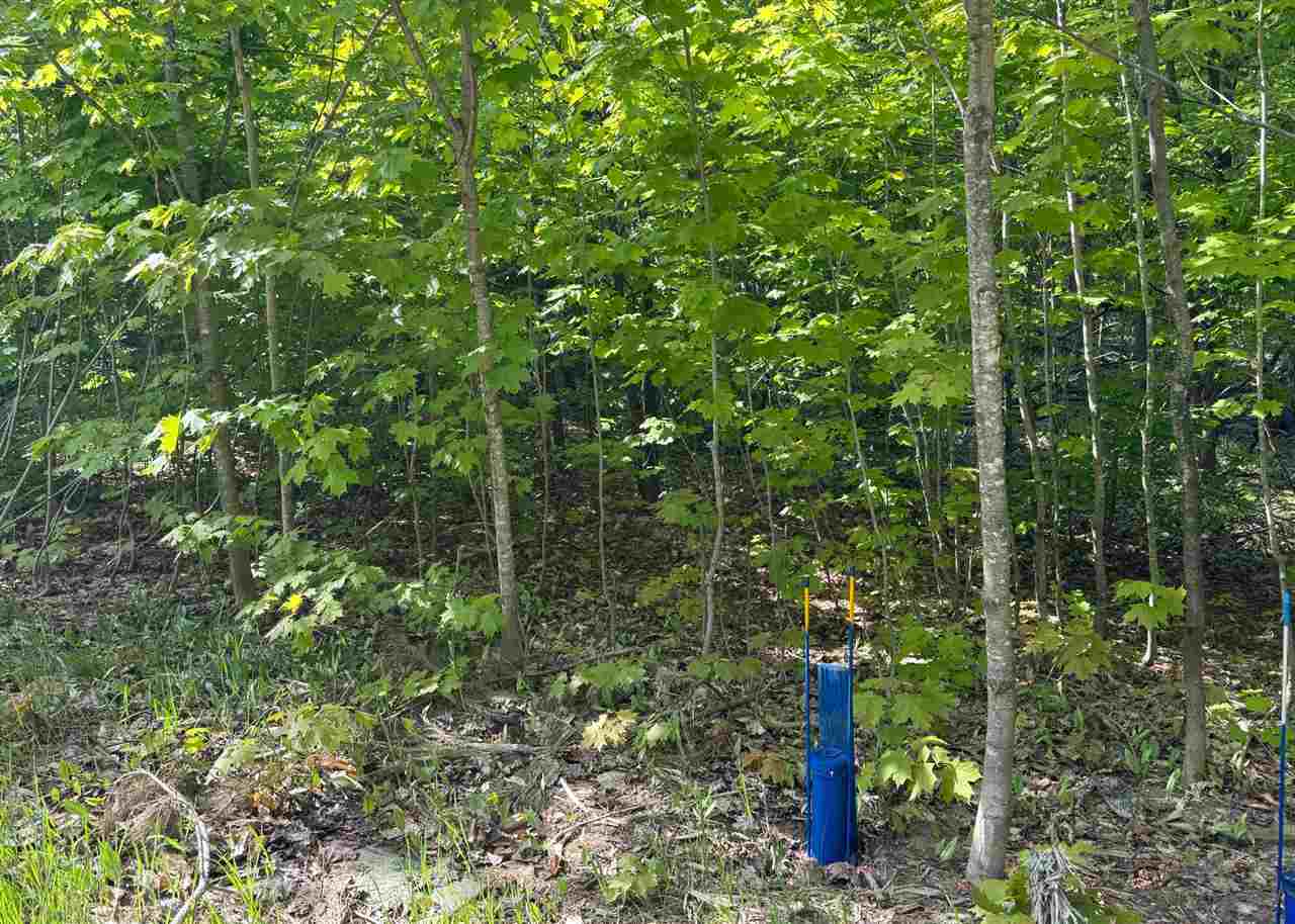 1279 Walkabout Lane Harbor Springs MI 49740