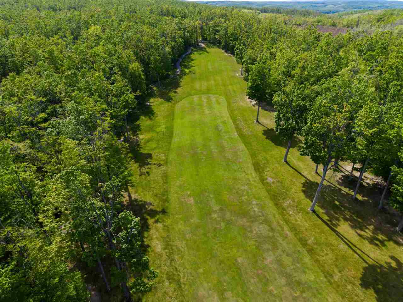 1279 Walkabout Lane Harbor Springs MI 49740