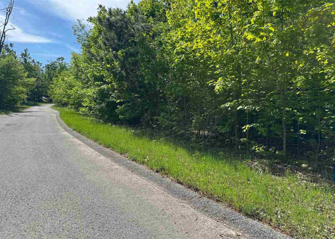 1279 Walkabout Lane Harbor Springs MI 49740