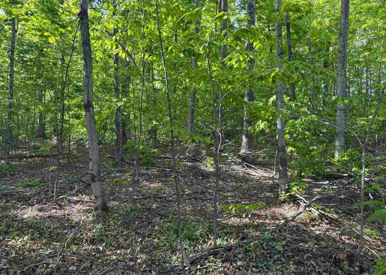 1279 Walkabout Lane Harbor Springs MI 49740