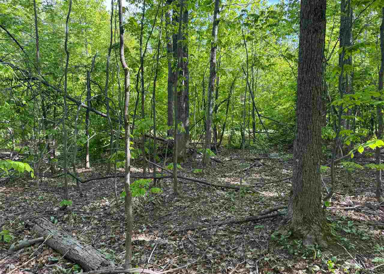 1279 Walkabout Lane Harbor Springs MI 49740