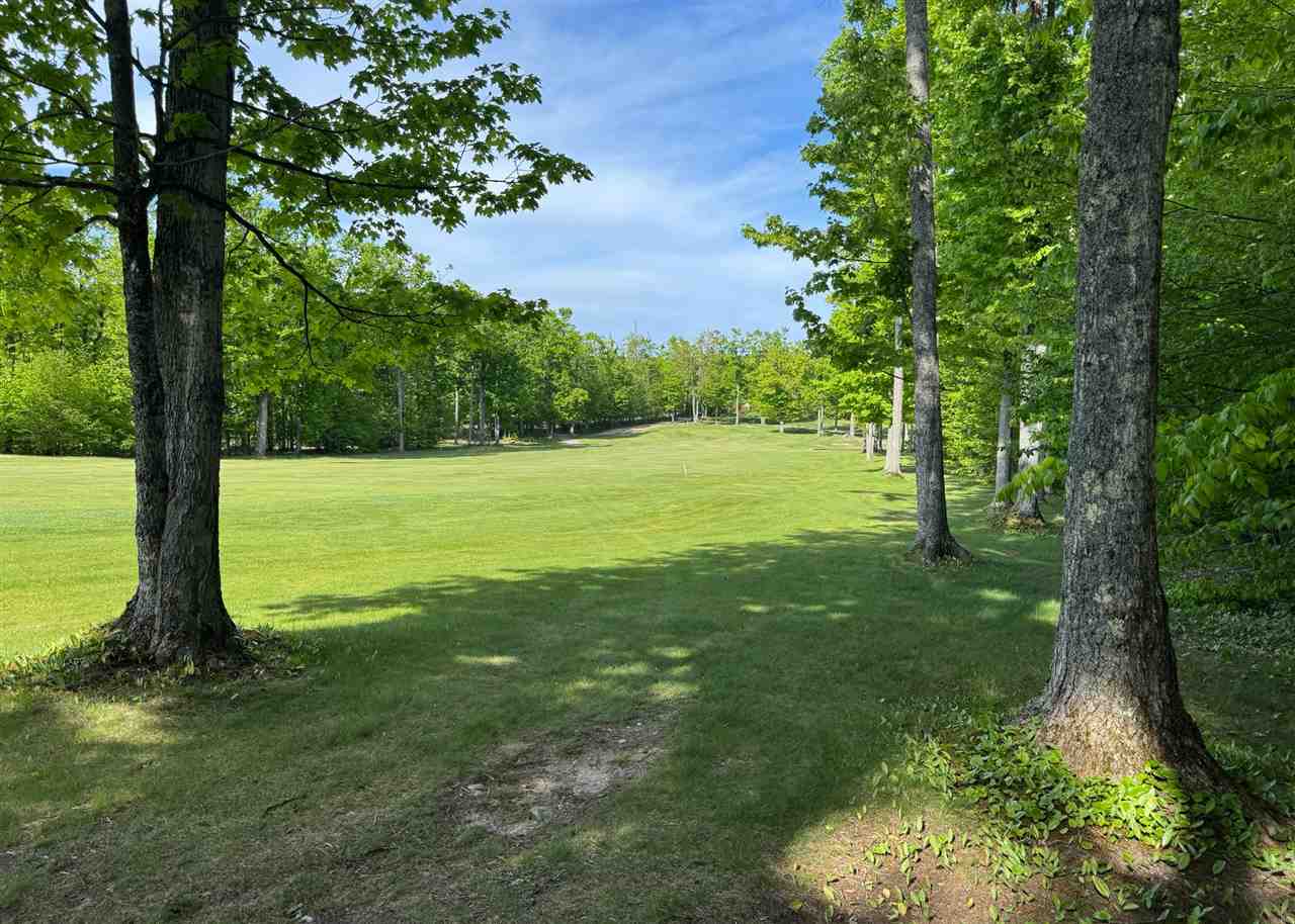 1279 Walkabout Lane Harbor Springs MI 49740