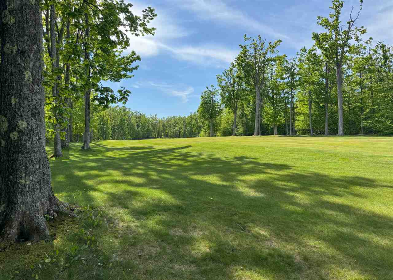 1279 Walkabout Lane Harbor Springs MI 49740
